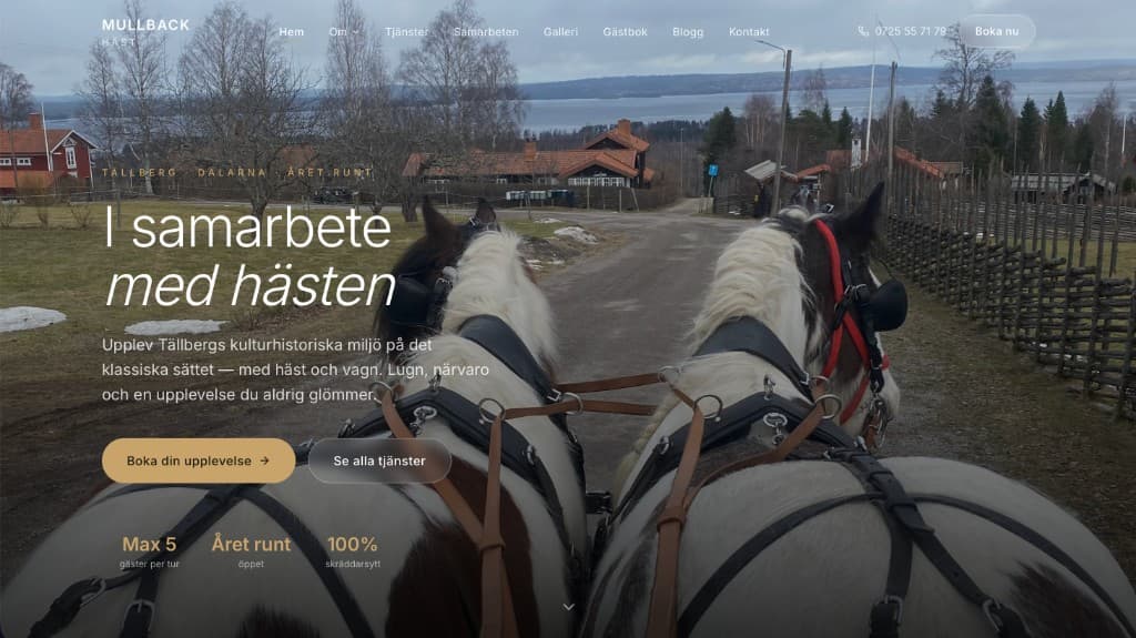 Mullback Häst